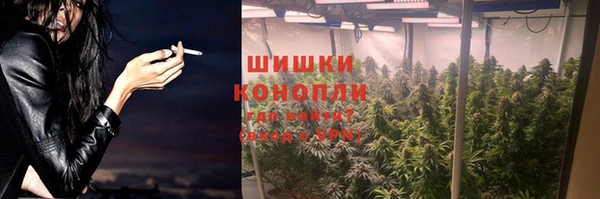 амф Ладушкин