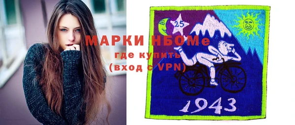 амф Ладушкин
