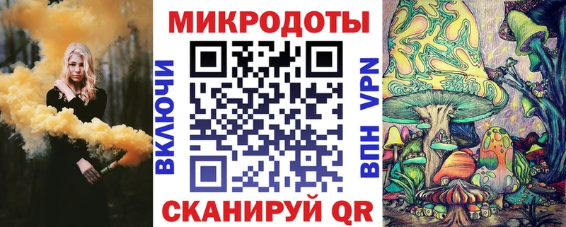 Галлюциногенные грибы Psilocybe  Брюховецкая 